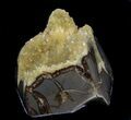Calcite Crystal Filled Septarian Geode - Utah #37236-1